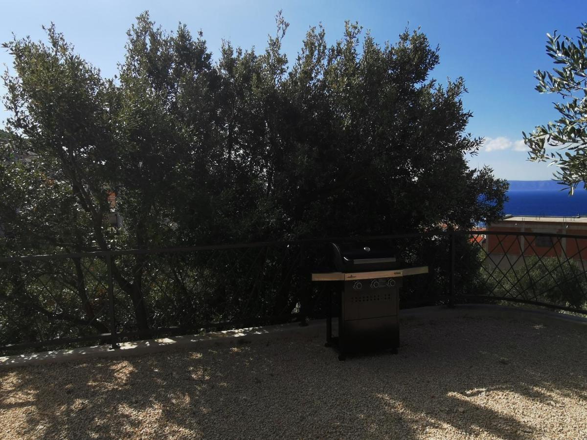 Villa Oleana Makarska Extérieur photo