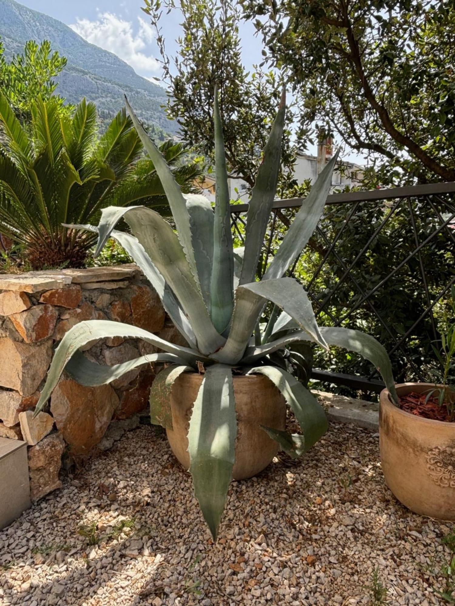 Villa Oleana Makarska Extérieur photo